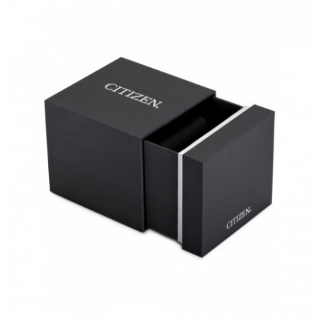 Citizen JP2000-08E laikrodis