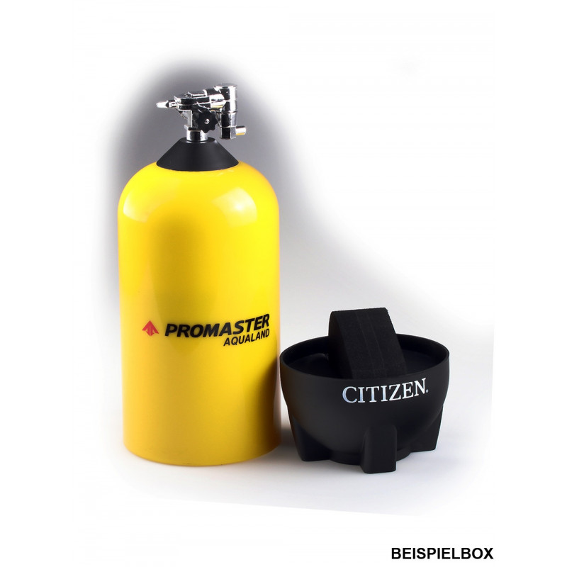 Citizen BN2031-85E laikrodis