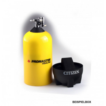 Citizen BN2031-85E laikrodis
