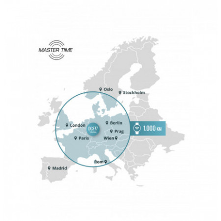 Master Time MTGS-10560-22L laikrodis