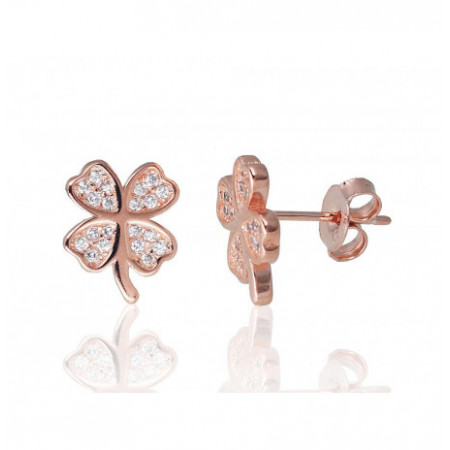 Sidabriniai auskarai...