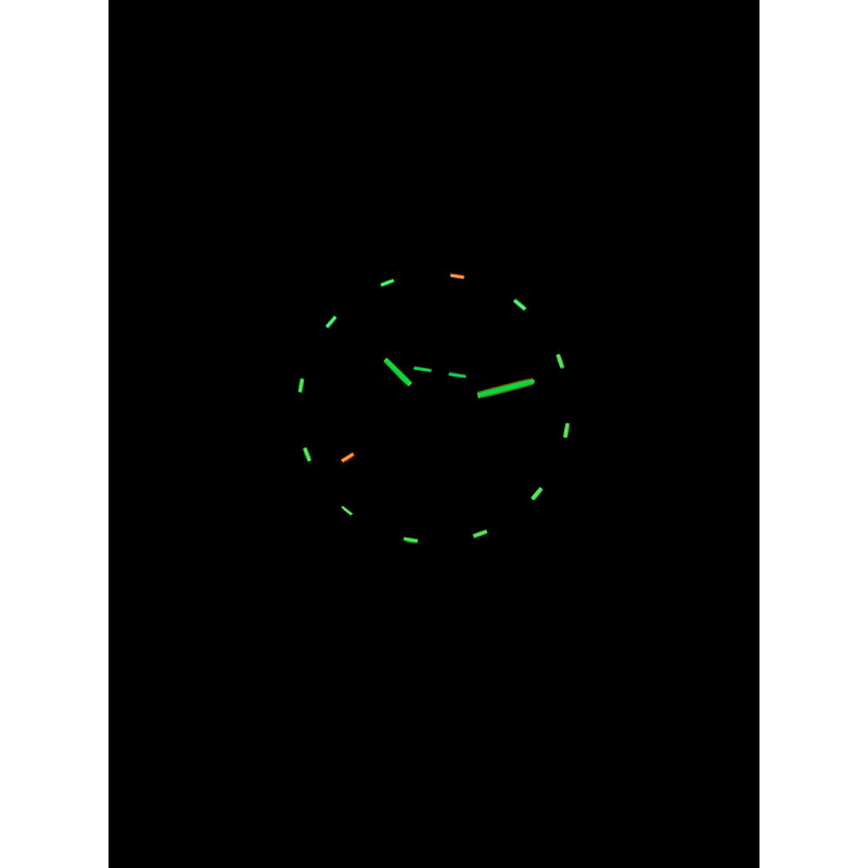 Traser H3 110327 laikrodis