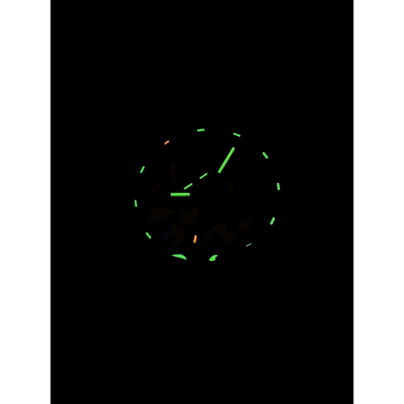 Traser H3 110321 laikrodis