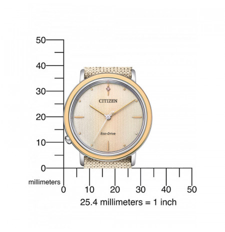 Citizen EM1006-40A laikrodis