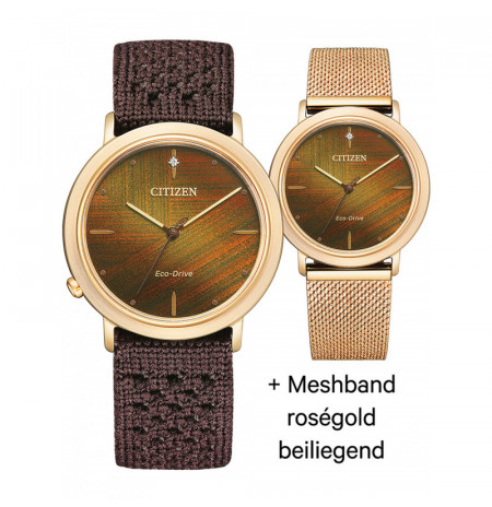 Citizen EM1003-48X laikrodis