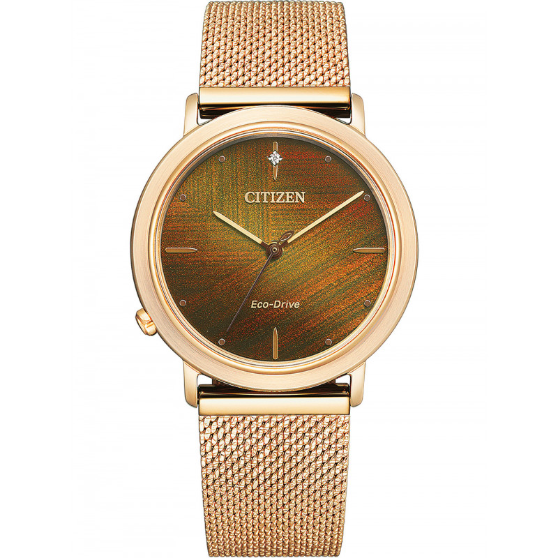 Citizen EM1003-48X laikrodis