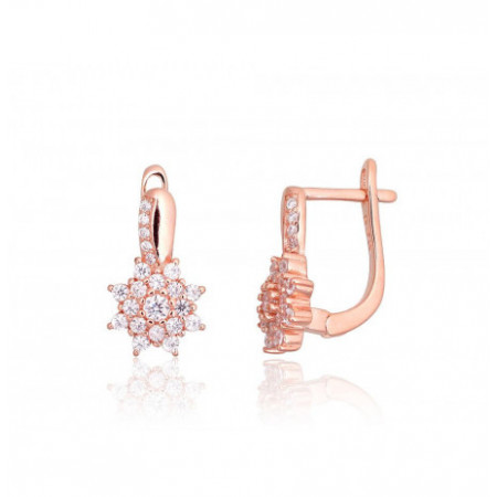 Sidabriniai auskarai ant...