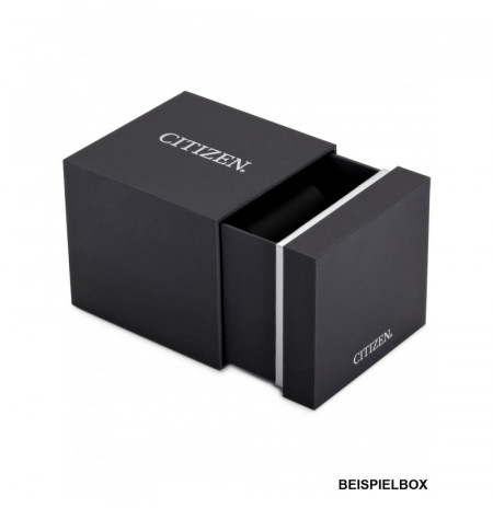 Citizen NB6025-59H laikrodis