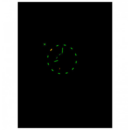 Traser H3 110668 laikrodis