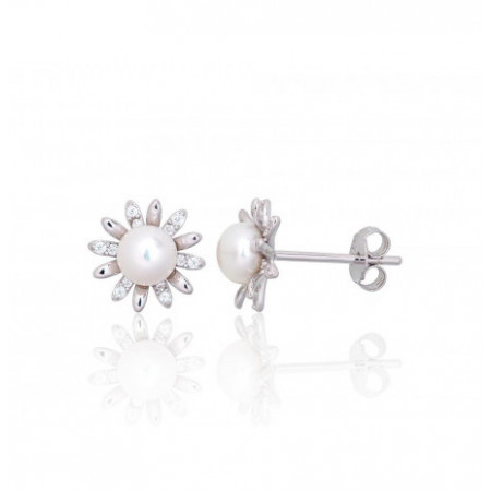 Sidabriniai auskarai...