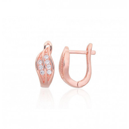 Sidabriniai auskarai ant...