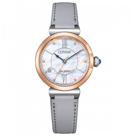 Citizen EM1074-15D laikrodis