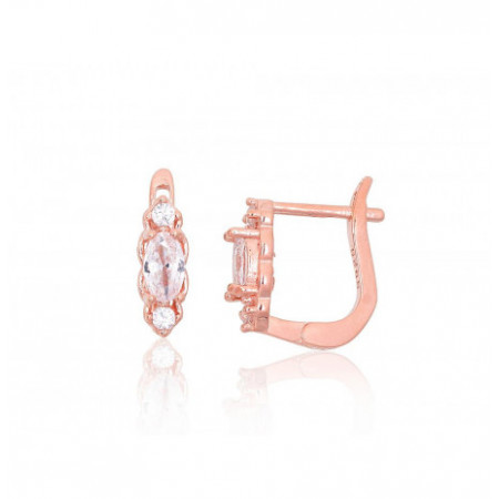 Sidabriniai auskarai ant...