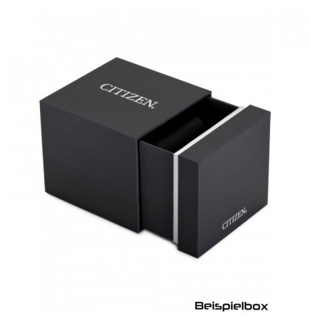 Citizen NB6046-59E laikrodis