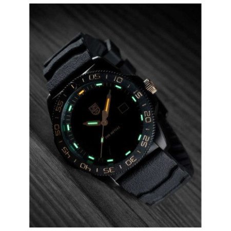 Luminox XS.3121.BO.GOLD laikrodis