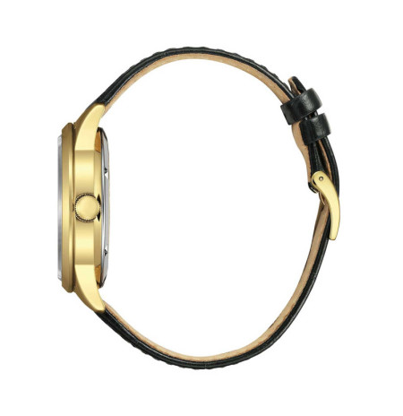 Citizen NY4059-09AE laikrodis