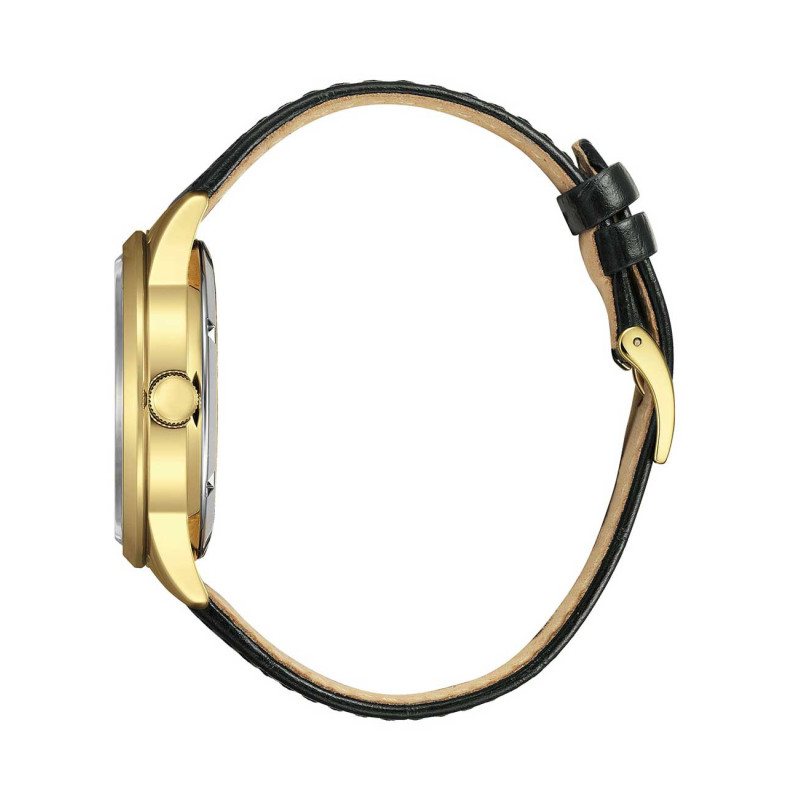 Citizen NY4059-09AE laikrodis