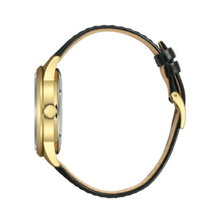 Citizen NY4059-09AE laikrodis