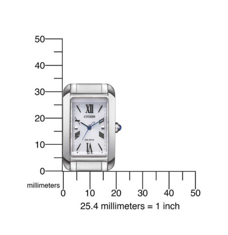 Citizen EW5620-55A laikrodis