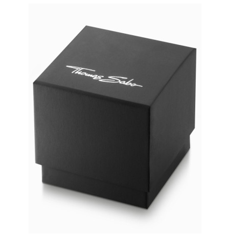 Thomas Sabo WA0432-201-203-34 laikrodis