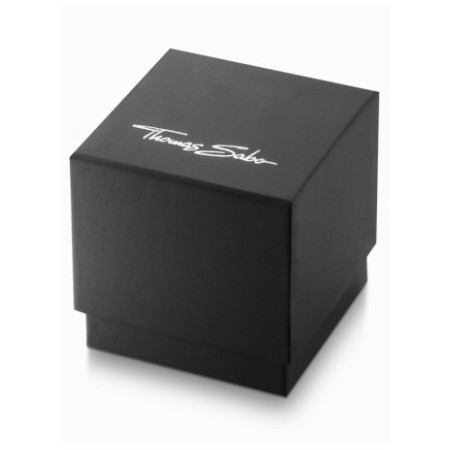 Thomas Sabo WA0432-201-203-34 laikrodis