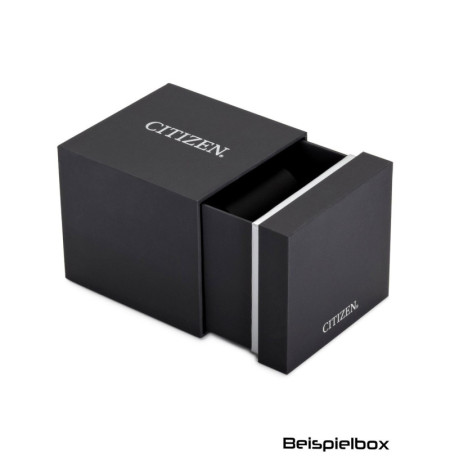 Citizen CA4690-51A laikrodis
