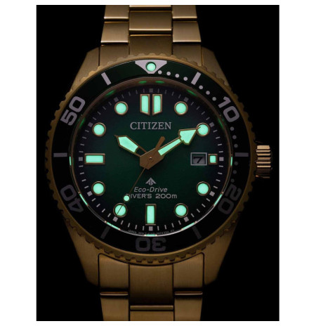 Citizen BN0262-59W laikrodis