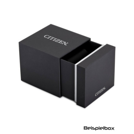 Citizen BN0262-59W laikrodis