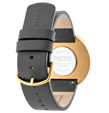 PICTO 43321-6220G laikrodis