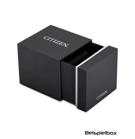 Citizen AT8304-57W laikrodis