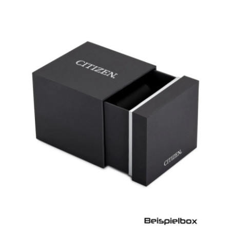 Citizen AR3120-32X laikrodis