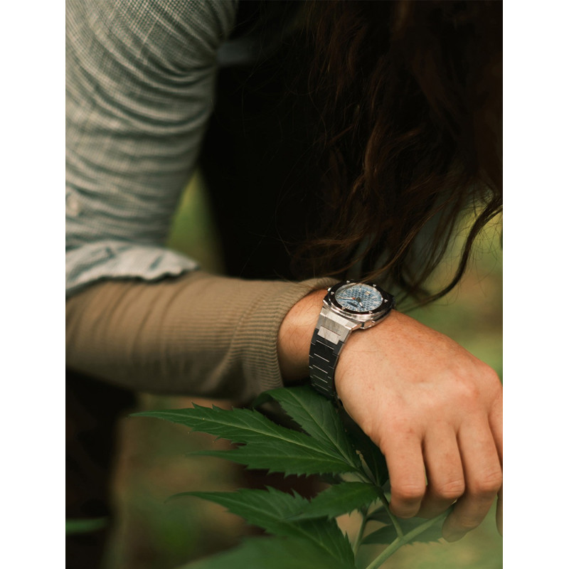 Alpina AL-220LB2AE6B laikrodis