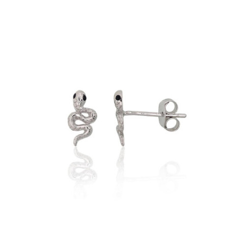 Sidabriniai auskarai...