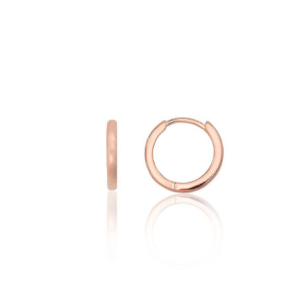 Sidabriniai auskarai su...