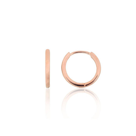 Sidabriniai auskarai su...