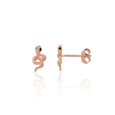 Sidabriniai auskarai...