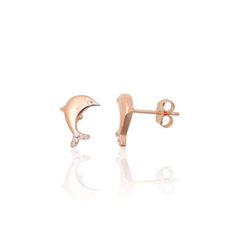 Sidabriniai auskarai...