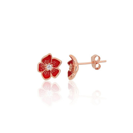 Sidabriniai auskarai...