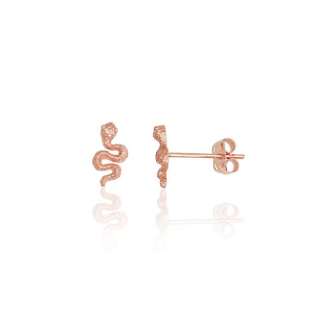 Auksiniai auskarai –pusetai...