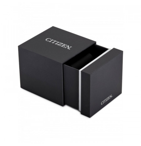 Citizen FE1081-08A laikrodis