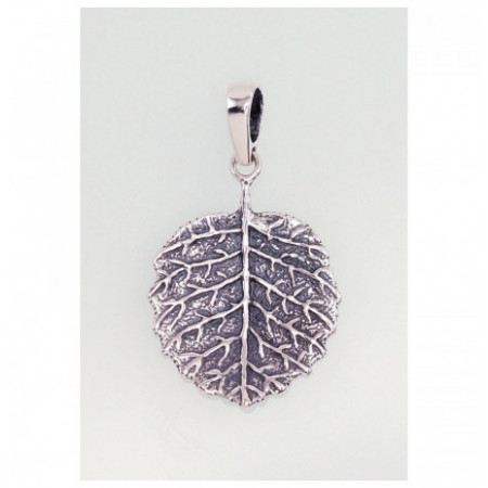 Sidabrinis pakabukas...